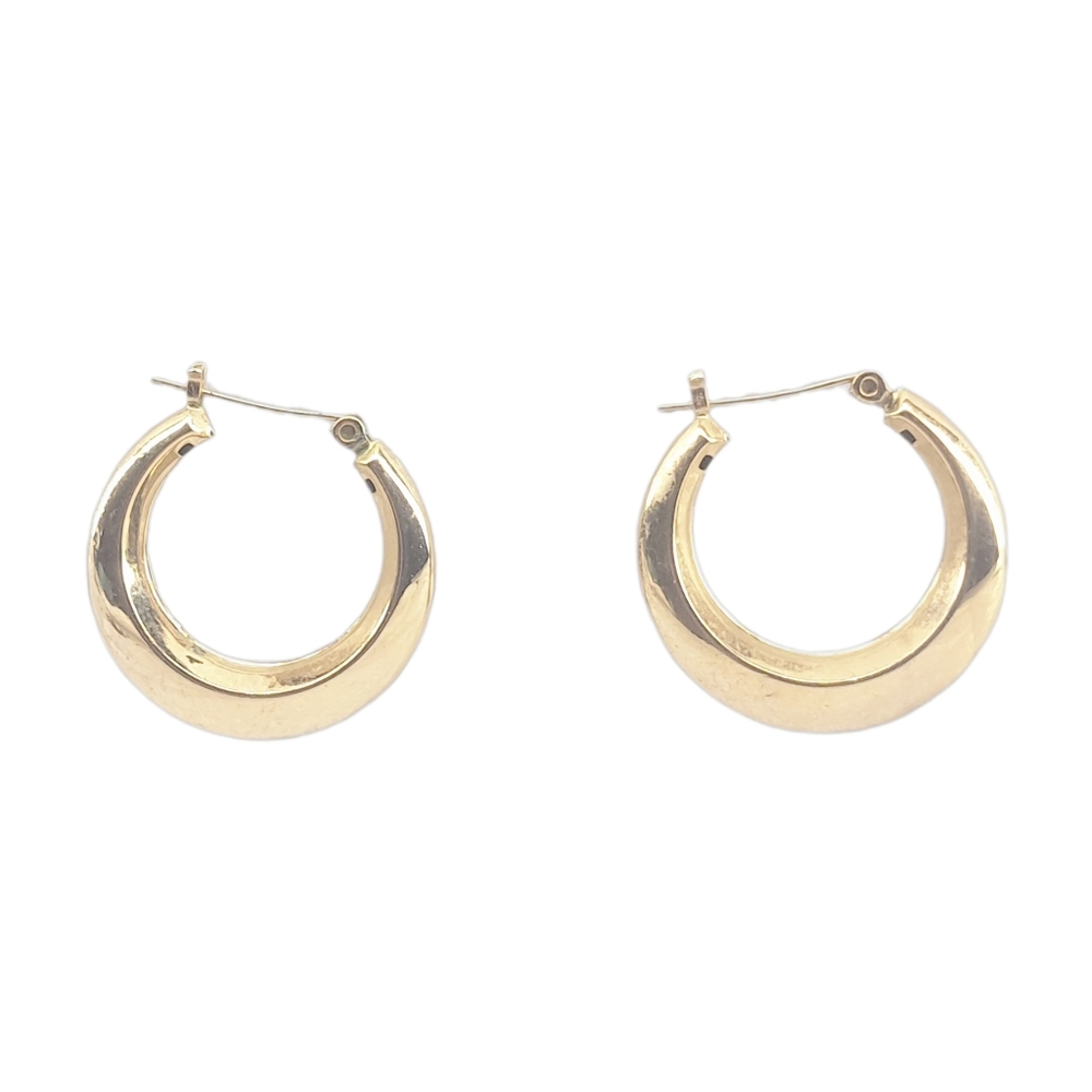 Elegant Gold Tone Hoop Earrings